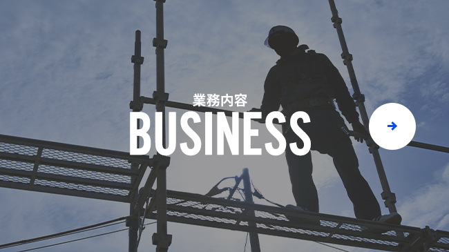 bnrhalf_business_bg
