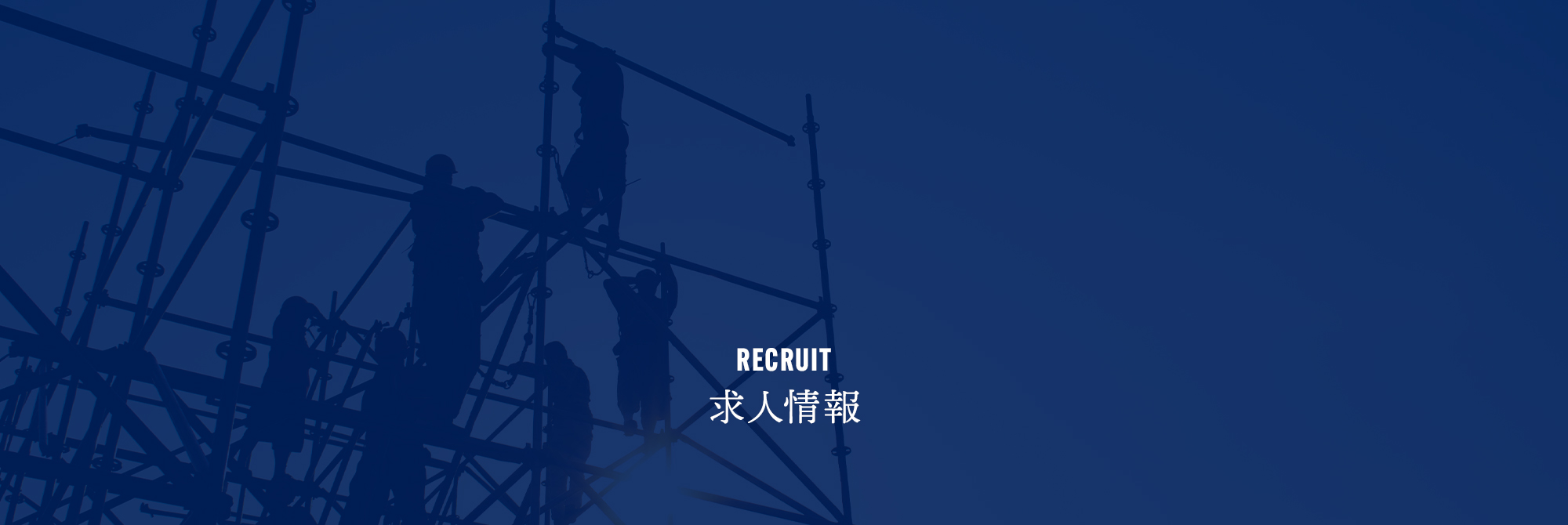 求人情報