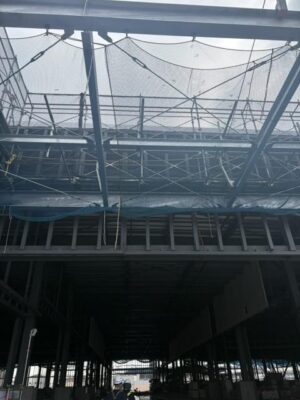 IMG_0390.jpeg